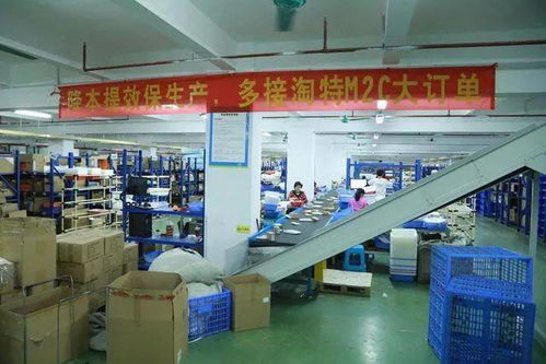 小镇青年淘特新生活 县域消费升级浪潮下的商业管理新思考